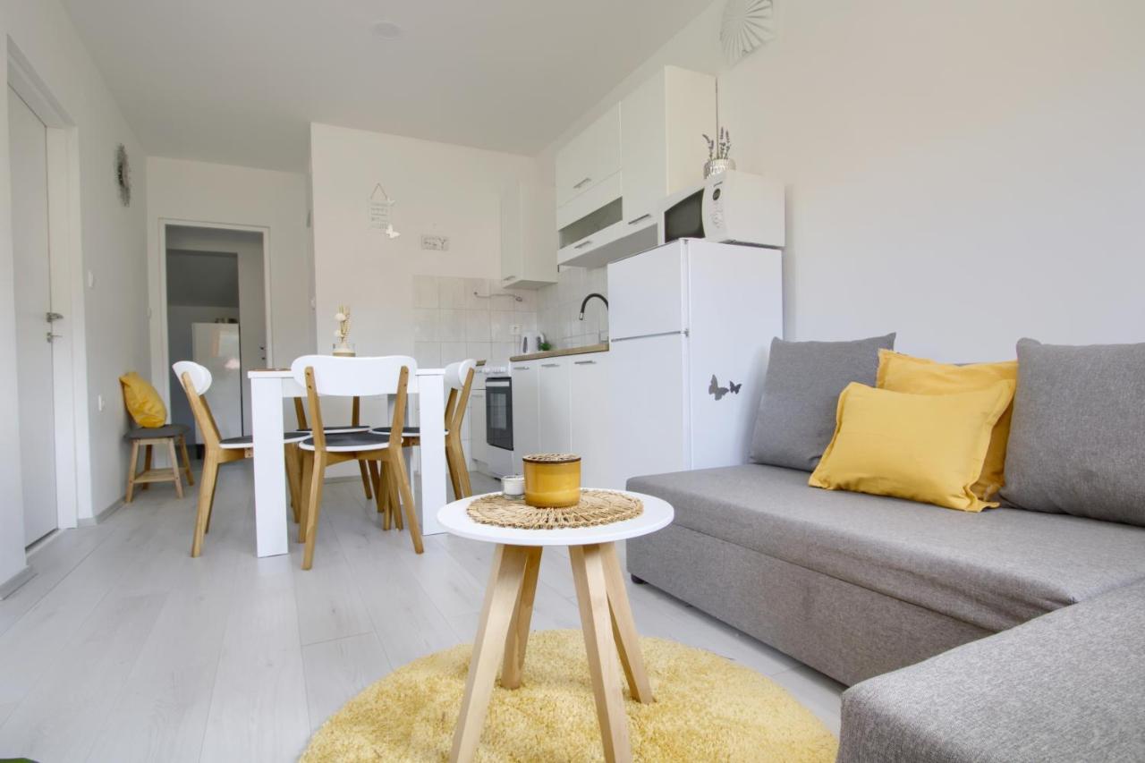Apartments Villa Mihaela Banj Экстерьер фото