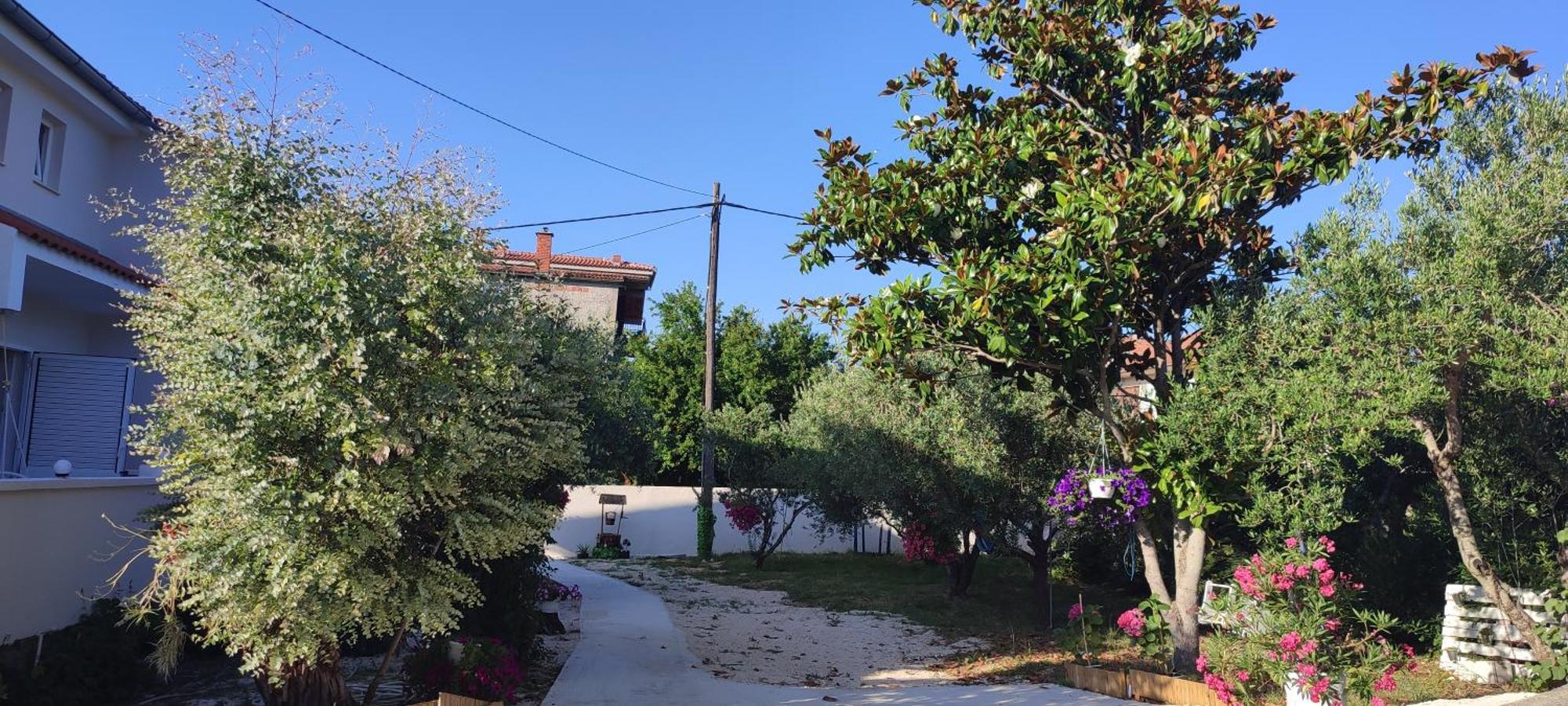 Apartments Villa Mihaela Banj Экстерьер фото